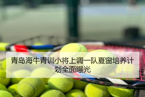 青岛海牛青训小将上调一队夏窗培养计划全面曝光