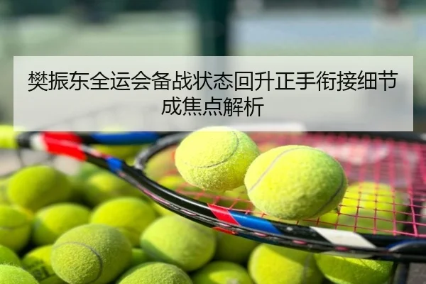 樊振东全运会备战状态回升正手衔接细节成焦点解析